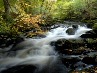 The Birks of Aberfeldy, Perthshire, Scotland