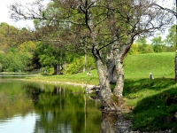 Loch Monzievaird, Perthshire, Scotland