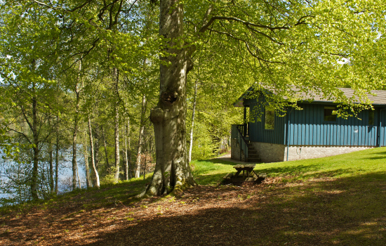 Holiday Cottages In Scottish Take Dogs Holiday Cottages In Scottish Take Dogs