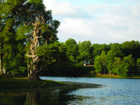 Loch Monzievaird Self Catering Holiday Cottages, Perthshire, Scotland