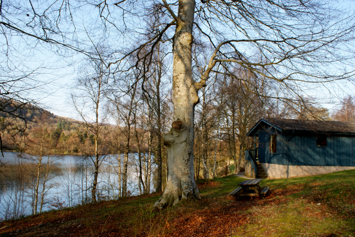 Pine Lodge Exterior, Crieff, Perthshire, Scotland