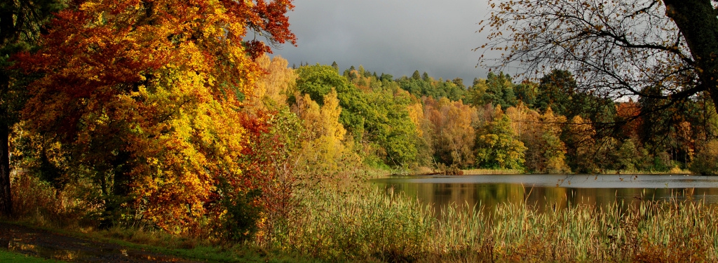 Near Crieff in Highland Perthshire