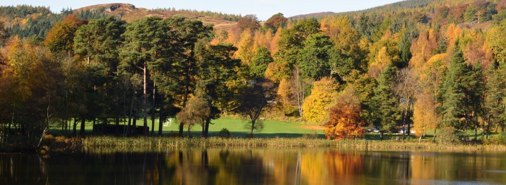 Beautiful lochside walks