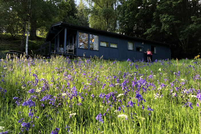 Conifer, Loch Monzievaird Holiday Lodges, Crieff, Perthshire Chalet