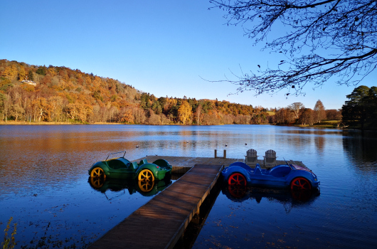 Pedalos